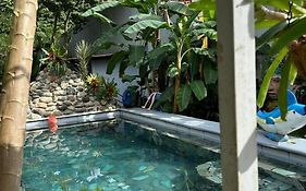 Casa Sophia 3 Listings Apartment 1 Or Apartment 2 Separately Or Apt 1 And 2 Together All With Fo Internet